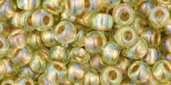 T-998-6R Gold Lined Rainbow Light Jonquil