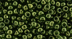 T-333-8R Gold Lustered Fern