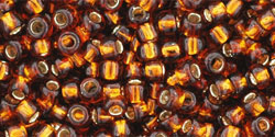 T-34-8R Sil/Lin Amber