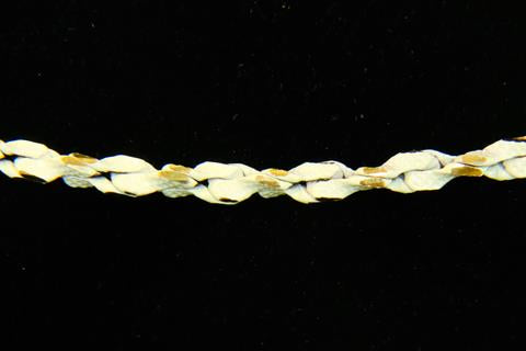 CH-CC-CH-875WHT 3mm White/Gold Rope