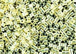 M-171-15DBS TR Yellow AB