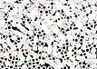M-222-15DBS White Opal AB