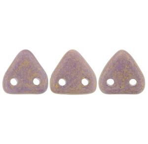 CZ2-371-06-PS1008 Pacifica - Fig