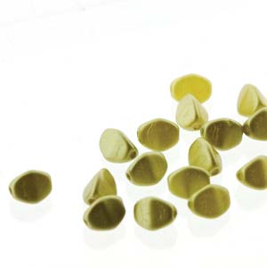 CZ1-PNC05-25021 Pastel Lime