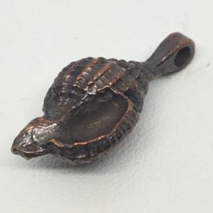 CA-MM-X1742-B Large Conch Shell Bronze
