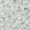 CZ2-DU0525001 Pastel White