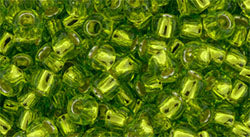 T-24-8R Sil/Lin Grass Green