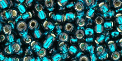 T-27BD-8R Sil/Lin Teal