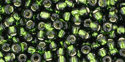 T-37-8R Sil/Lin Olivine