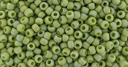 T-2632F-11R Semi Glazed RB Honeydew