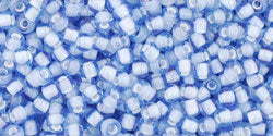 T-933-11R Inside White/Lt Blue