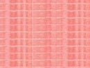 M-1856-11DB Silk Ins Dyed Flamingo