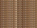 M-1892-11DB TR Sable Brown Luster