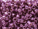 M-2508-11DB Dura Galv Purple Orchid