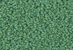 M-877-15DBS Matte OP Green AB