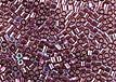 M-1204-15DBS S/L Mauve