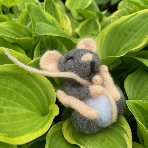 02-24-24 Felted Sleepy Mouse Using two needle felting techniques to make this c ute little mouse. Marsha 10:30-1:00pm